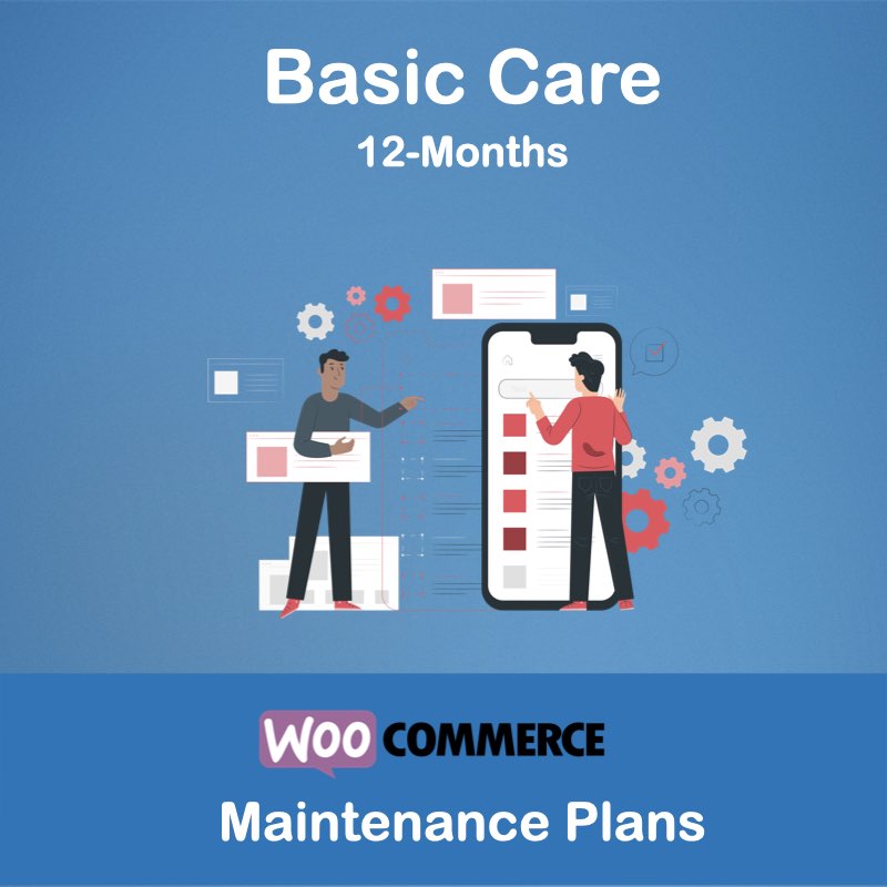 Basic Care Maintenance 12 Months Plan Service Package USA