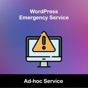 WordPress Emergency Service Support in Singapore